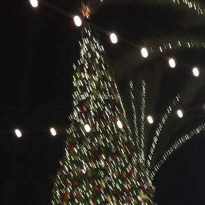 Meet your Posher, Elvina